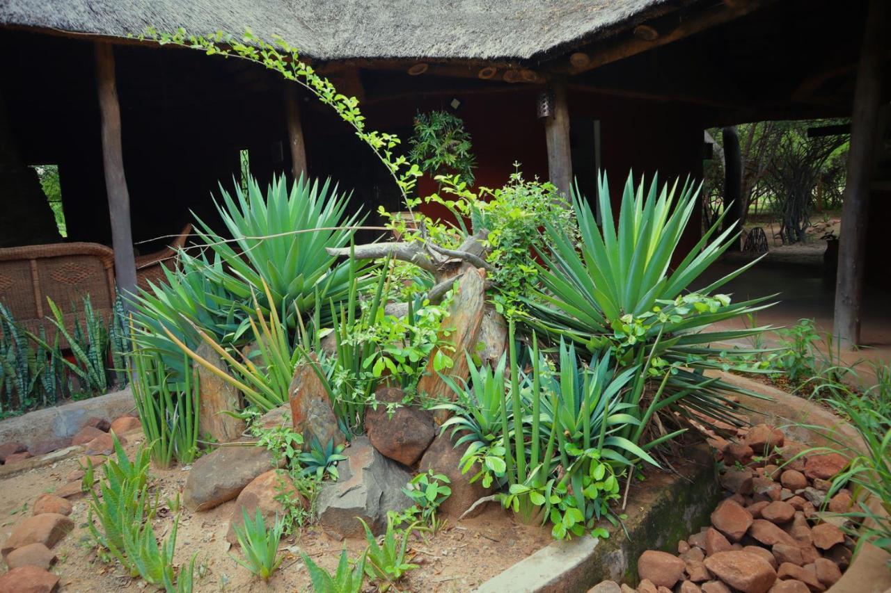 Munga Eco-Lodge ليفينغستون المظهر الخارجي الصورة