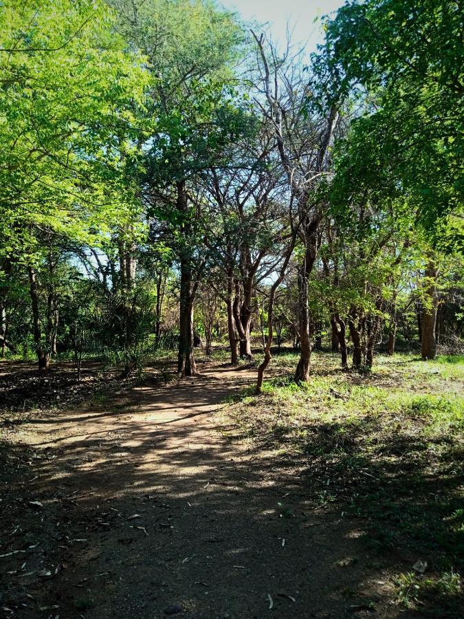 Munga Eco-Lodge ليفينغستون المظهر الخارجي الصورة